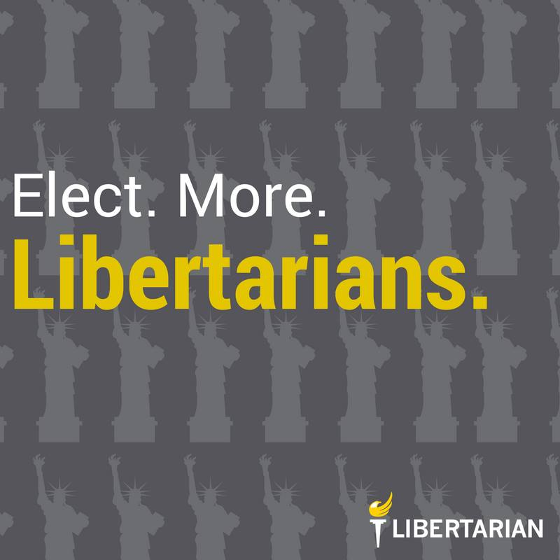 Elect. More. Libertarians.