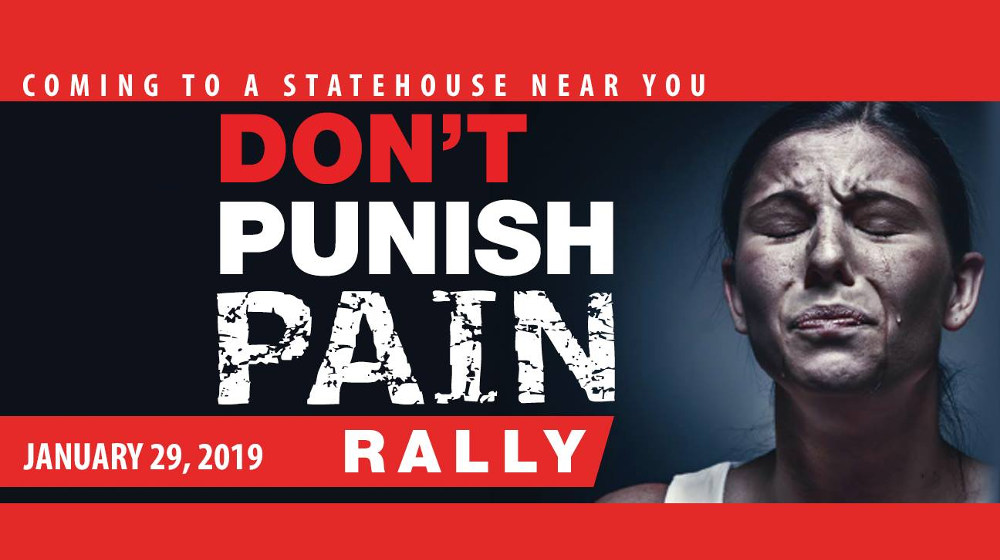 Don't Punish Pain Rally — Jan. 29, 2019