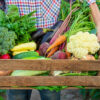 A man farmer holds vegetables in his hands in the garden. Selective focus. Food.